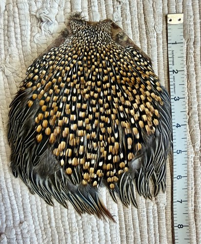 Jungle cock cape multi - jungle,