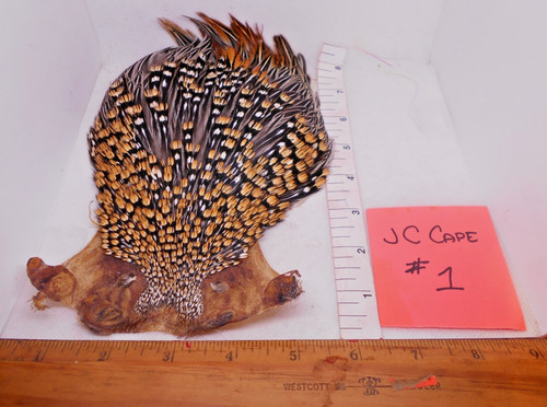 Jungle cock cape - cock,